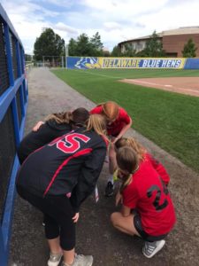 64552623_2306863032909106_8255399855602532352_n